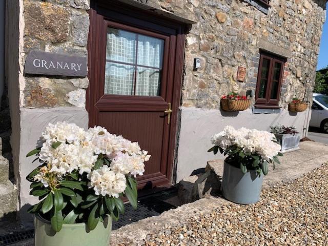 The Gower Cottages موفات المظهر الخارجي الصورة
